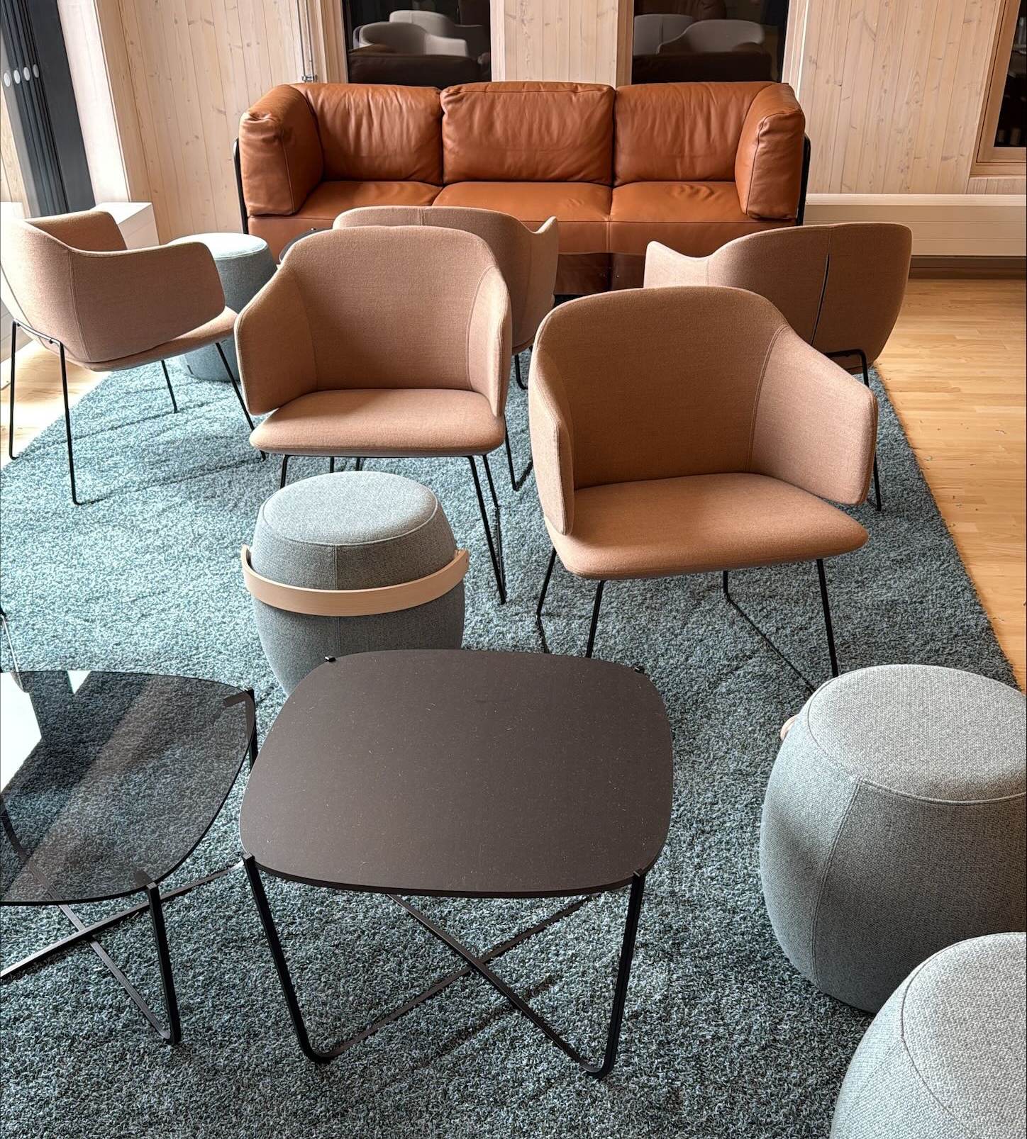 Skolens loungeområde med skinnsofa, myke tekstilstoler og teppe